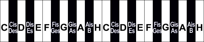 Eine zweioktavige Klaviatur (festes Bild, alle Tasten gleich breit und nebeneinander liegend)